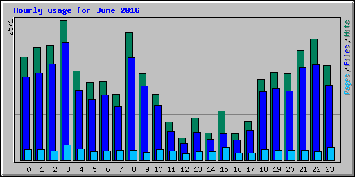 Hourly usage for June 2016
