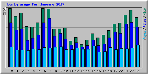 Hourly usage for January 2017